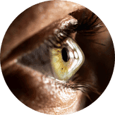 Profilo dell'occhio con la cornea in evidenza